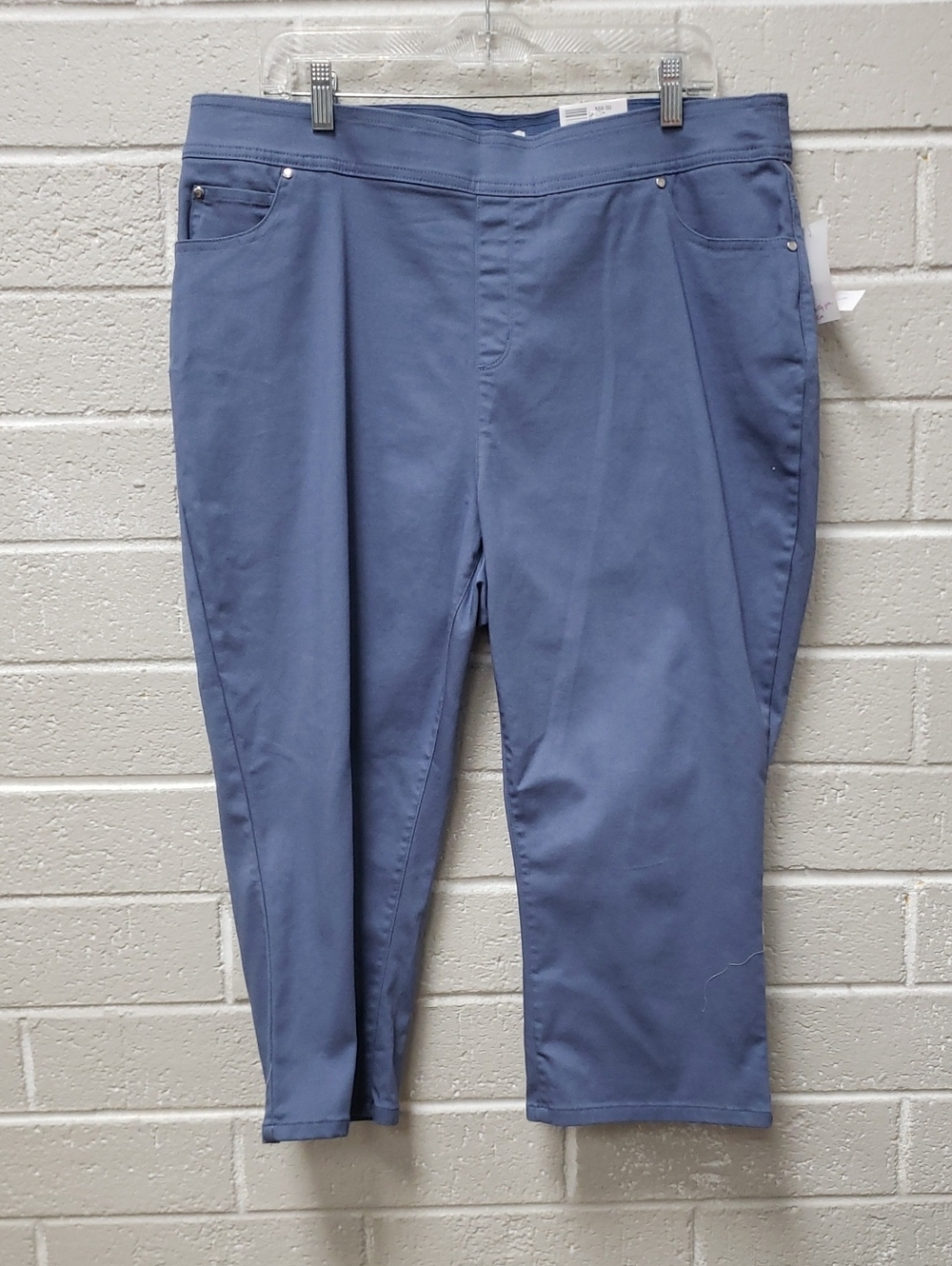 Kim Rogers Parrot Blue Pull-On Capri Pants